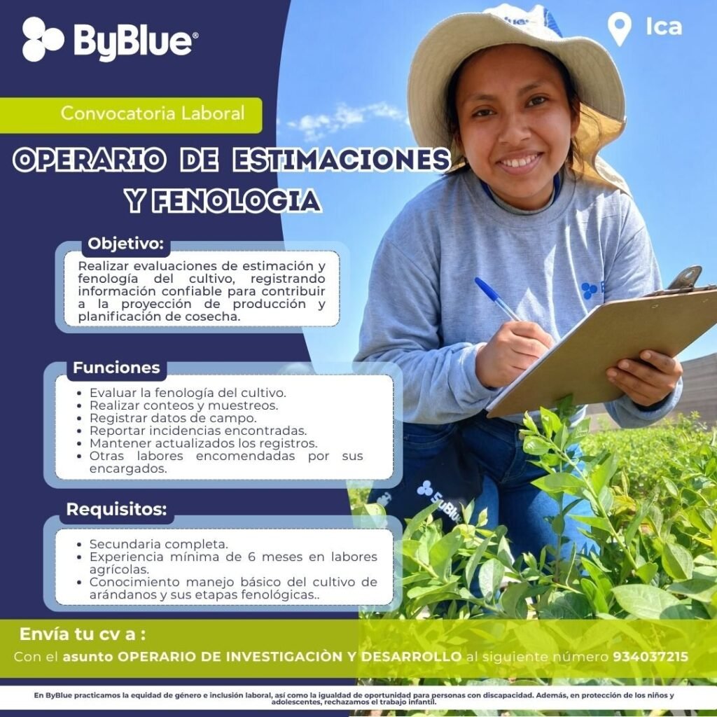 Operario de estimaciones y fenólogia