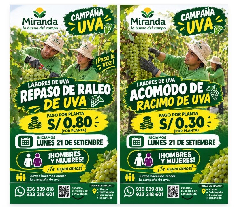 Nuevas oportunidades laborales en Ica