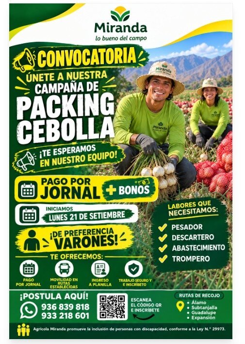 Nuevas oportunidades laborales en Ica - Imagen 2