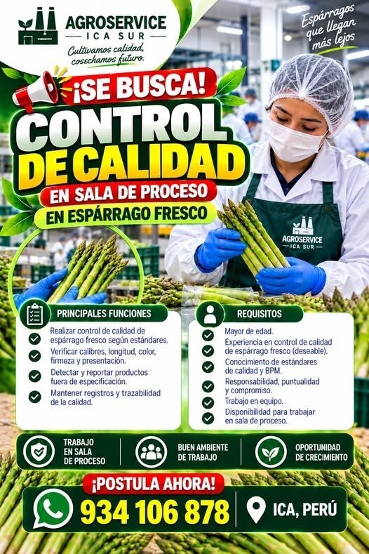 Supervisor de producción - Imagen 3