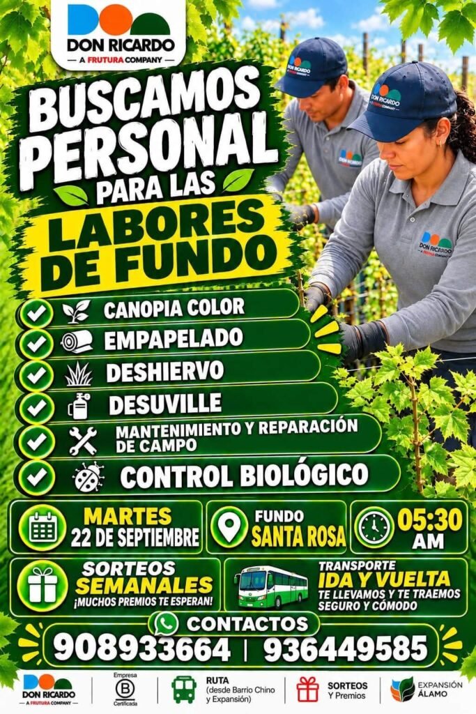 Ajuste de racimos y ajuste de carga - Imagen 2