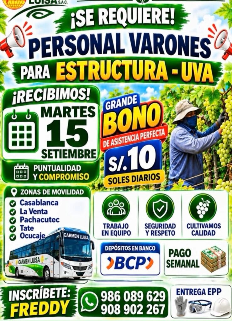 Personal Masculino para Estructura de Uva en Casablanca