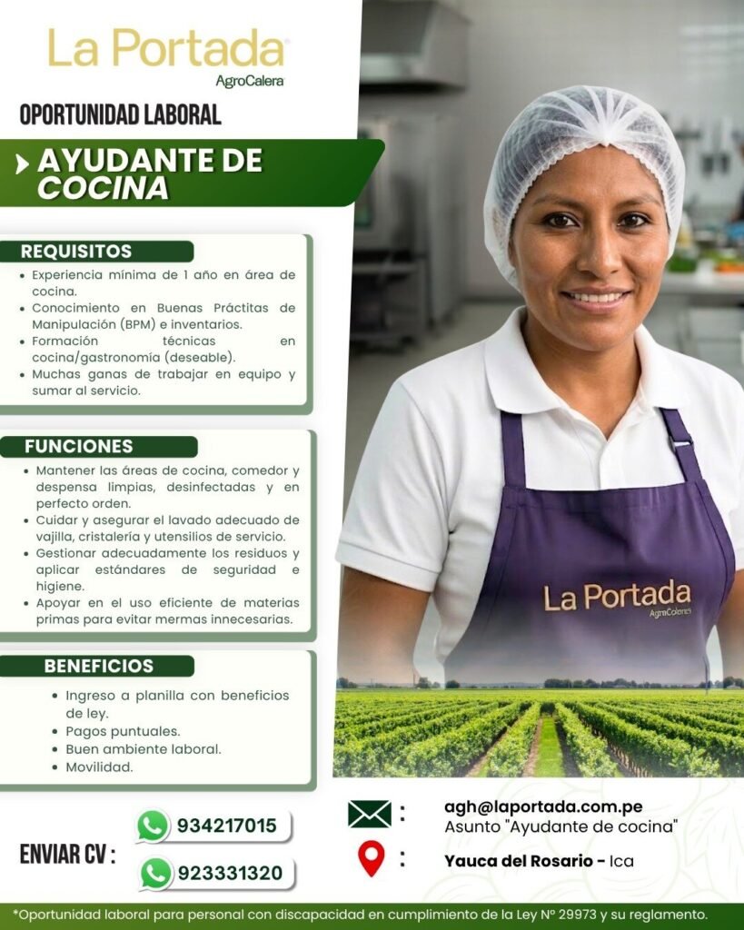 Cocinero y ayudante de cocina