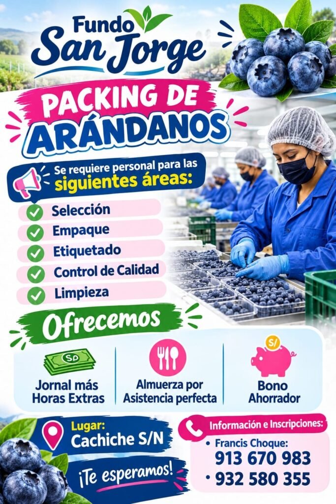 Packing de arándanos