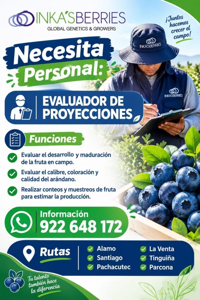 Evaluador de proyecciónes