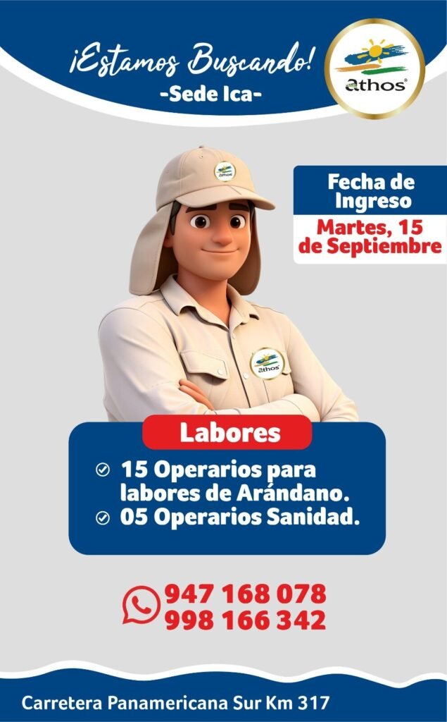 Trabajo en Athos Ica
