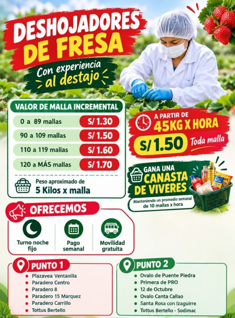 DESHOJADORES DE FRESA TURNO DIA