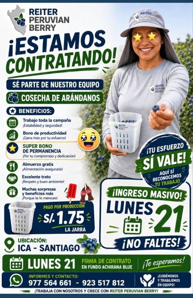 Cosechadores de Arándanos en Ica – Santiago