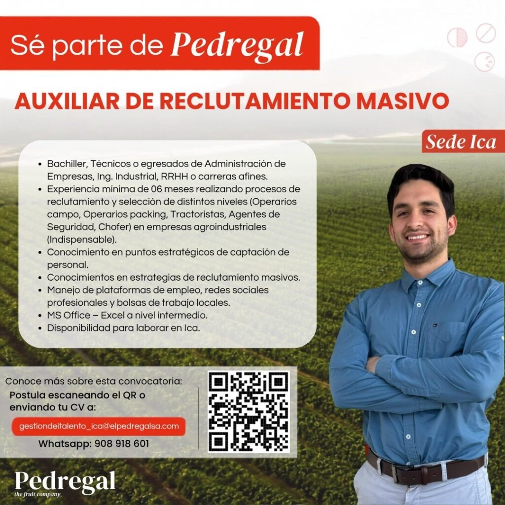 Nuevas oportunidades en Pedregal Iva - Imagen 5