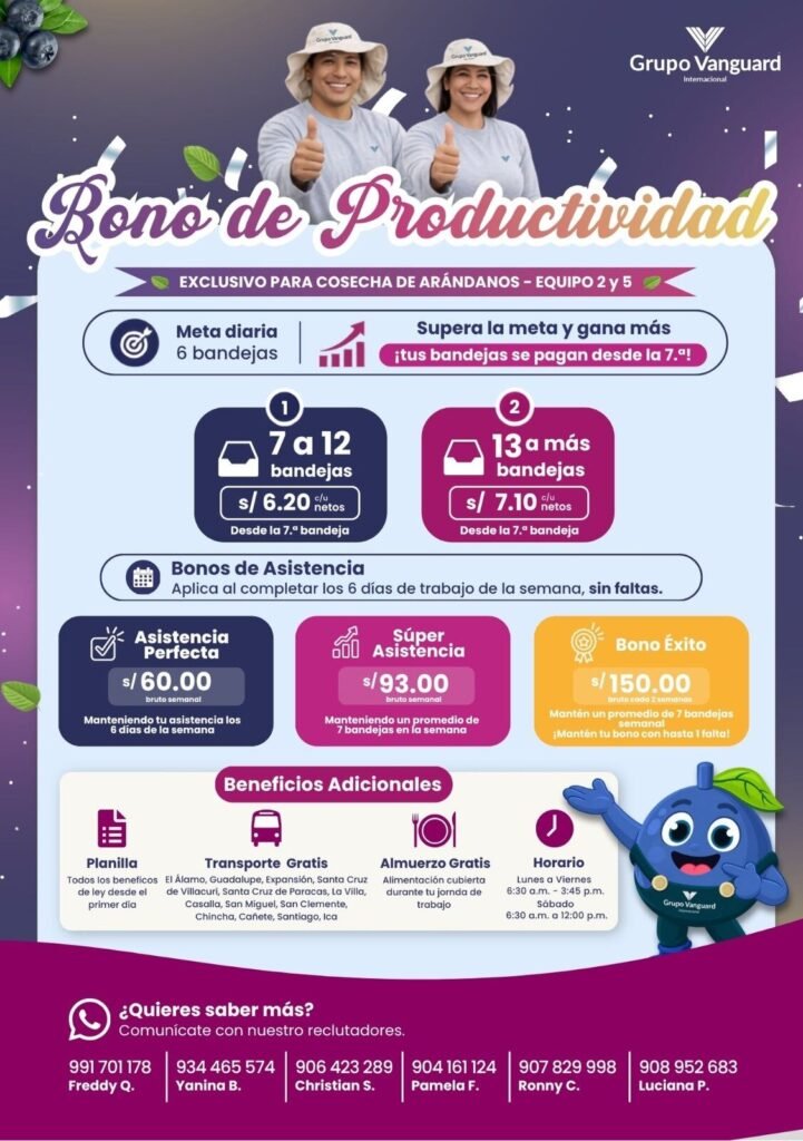 Cosecha de arándanos en Grupo Vanguard