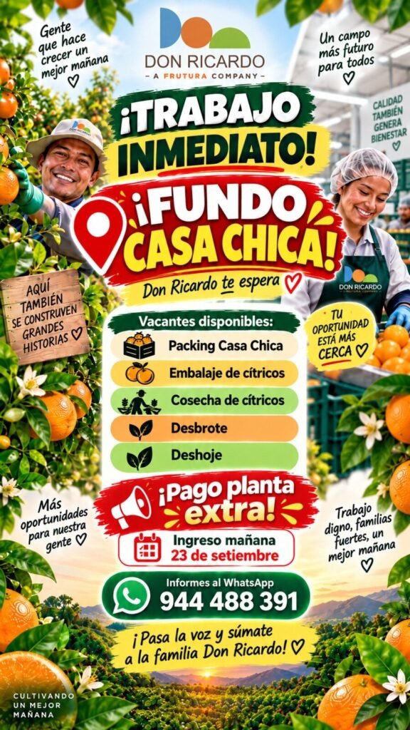 Embalador de Cítricos en Fundo Casa Chica, Ica