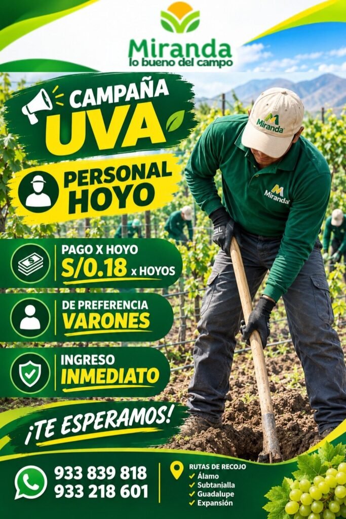 Control de calidad - Imagen 3