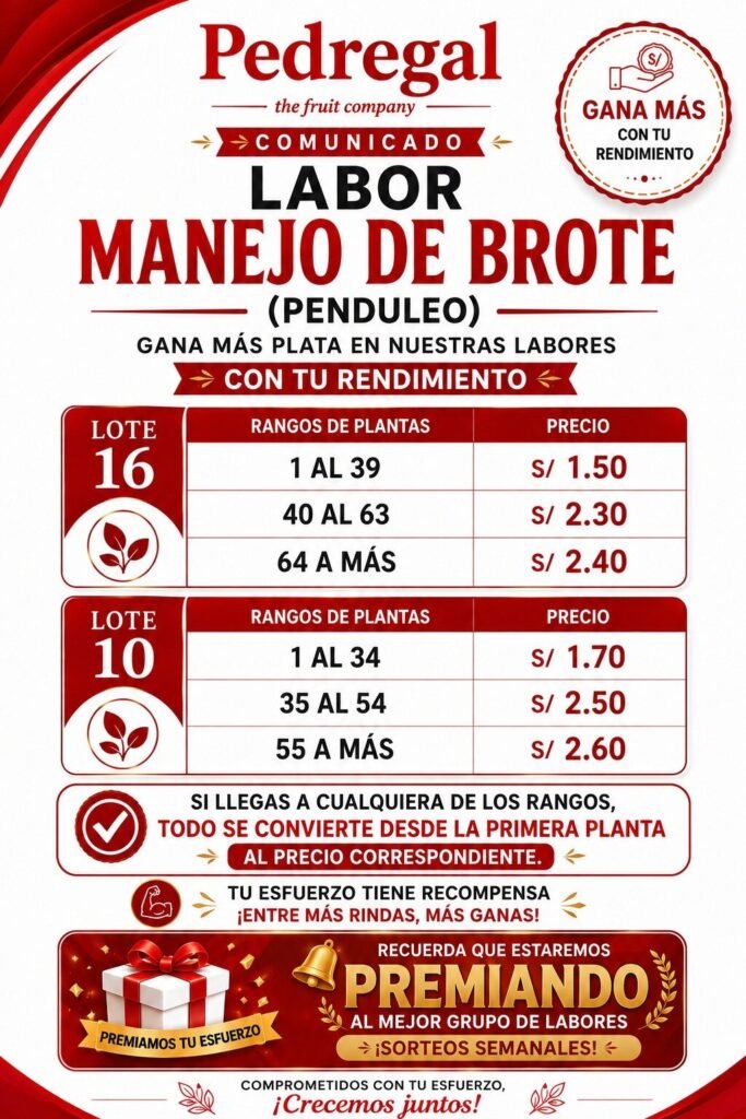 Trabajadores para Manejo de Brote