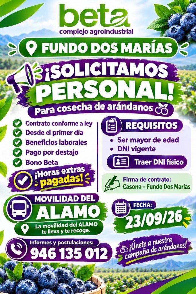 Personal para Cosecha de Arándanos en Fundo Dos Marías, Ica