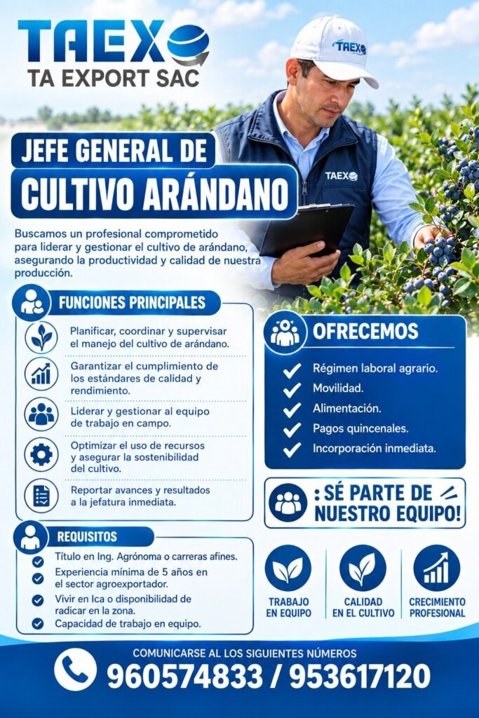 Jefe General de Cultivo de Arándano en Ica para TA EXPORT SAC