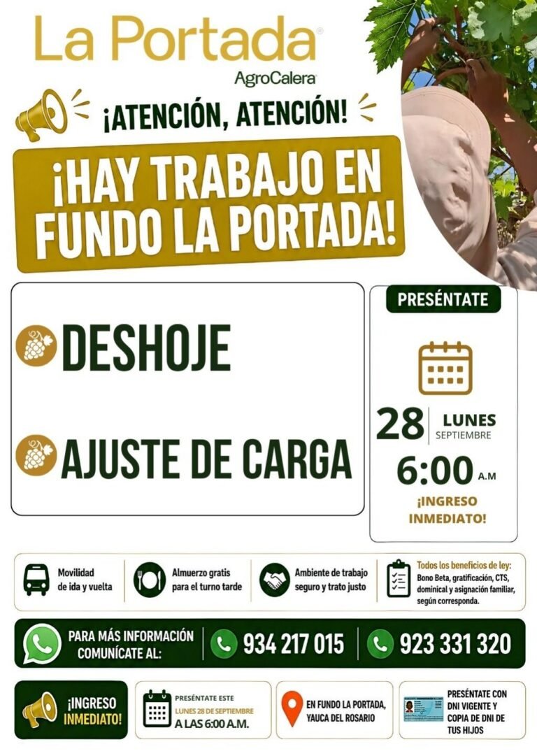 Ajuste de carga