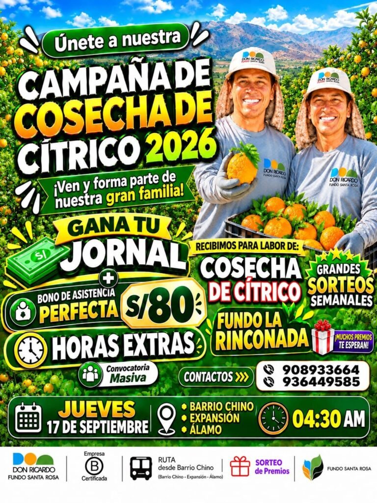Reclutamiento masivo en Agricola Don Ricardo - Imagen 3