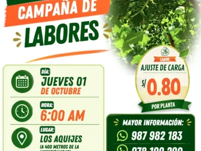 Ajuste de Carga en Los Aquijes – Ica