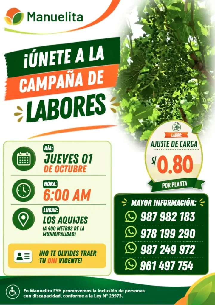 Ajuste de Carga en Los Aquijes - Ica - Imagen 1