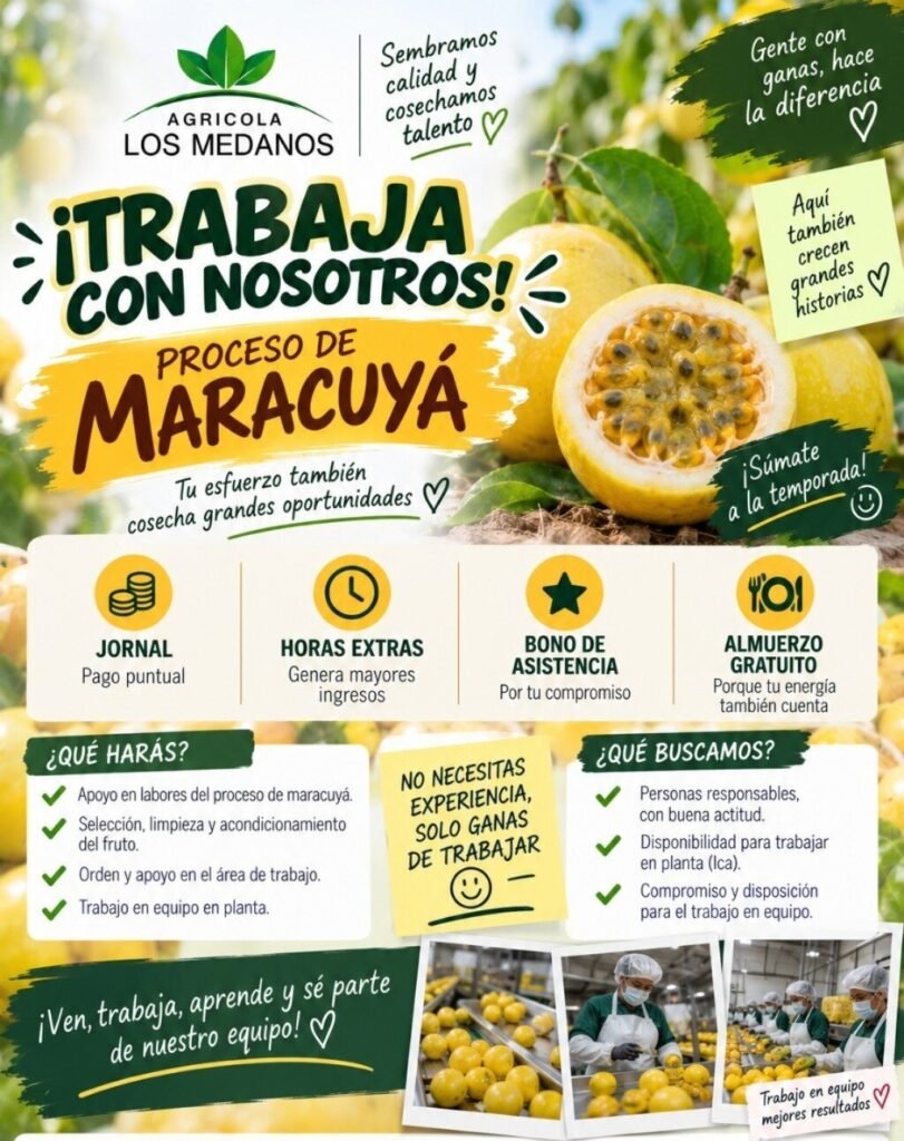 convocatoria de trabajo para proceso maracuya