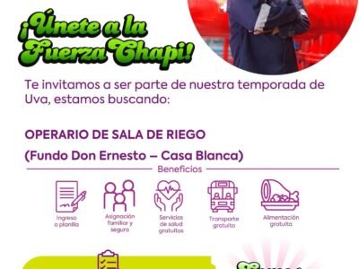 Operario de Sala de Riego en Fundo Don Ernesto, Casa Blanca