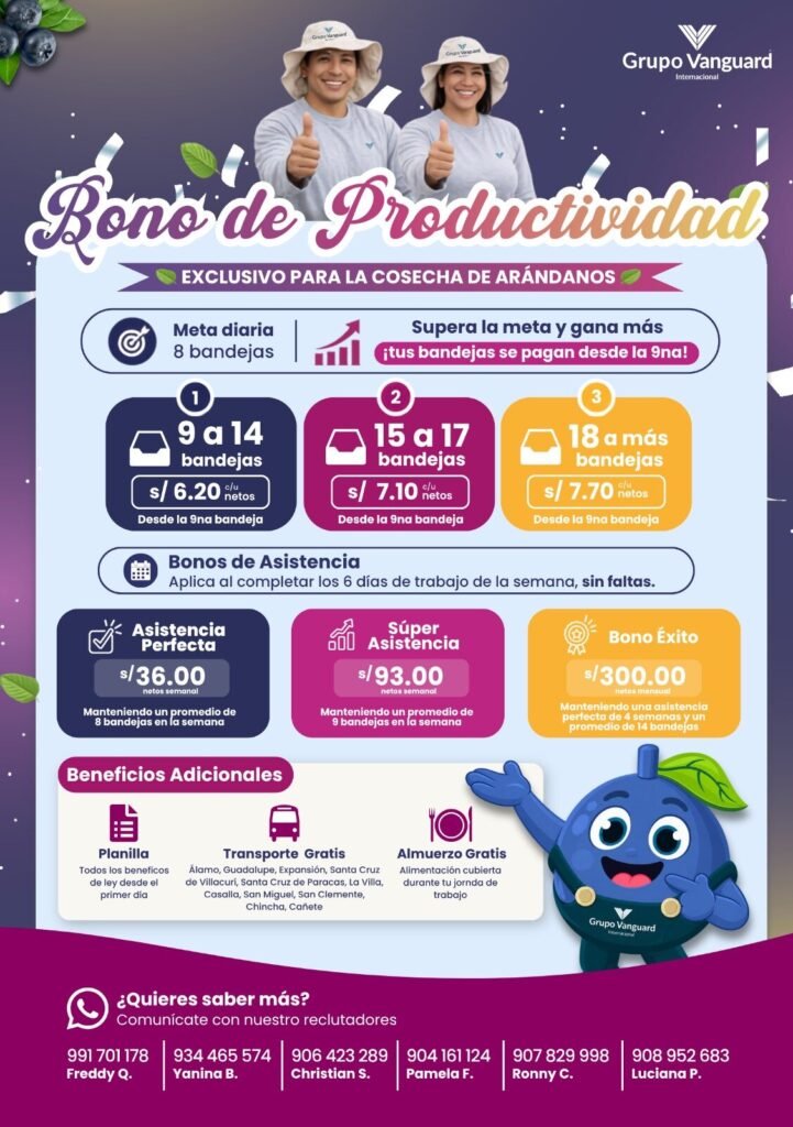 Cosechadores de Arándanos en Ica