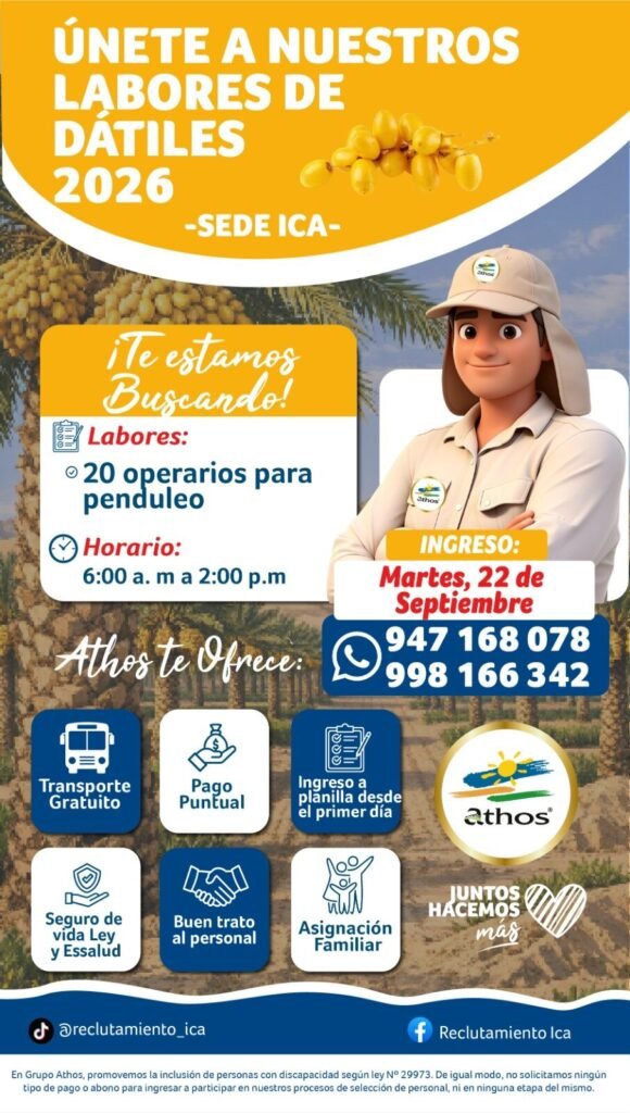 Operarios para Penduleo de Dátiles en Ica