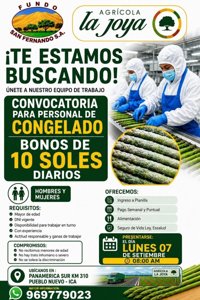 Personal de Congelado en Panamericana Sur KM 310, Ica