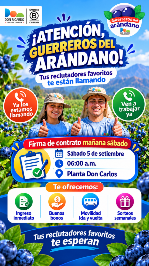 Firma de contratos para cosecha de arándanos en Agricola don Ricardo