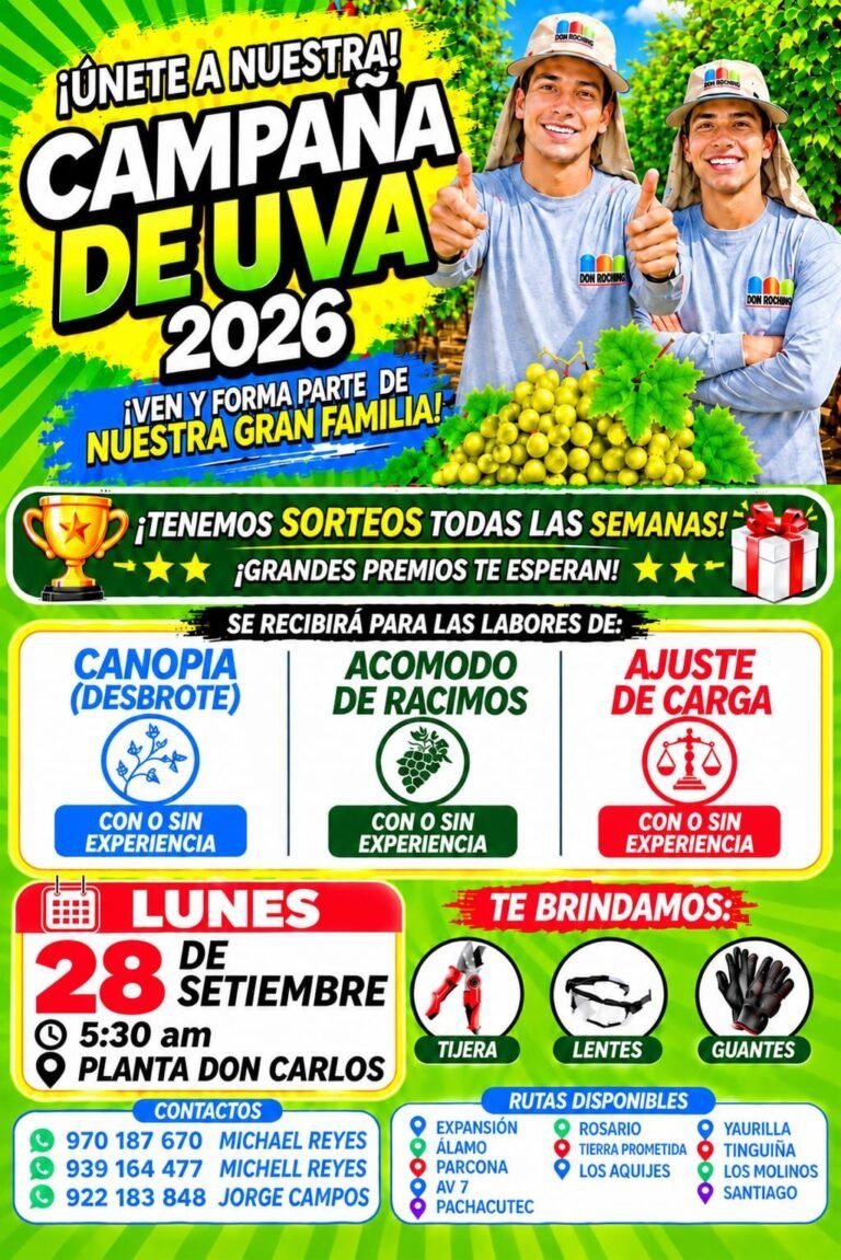 Acomodo de racimos