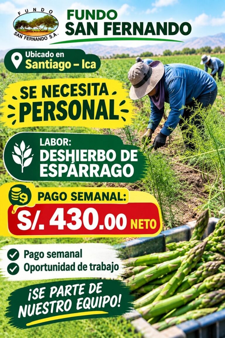 Deshierbo de espárrago