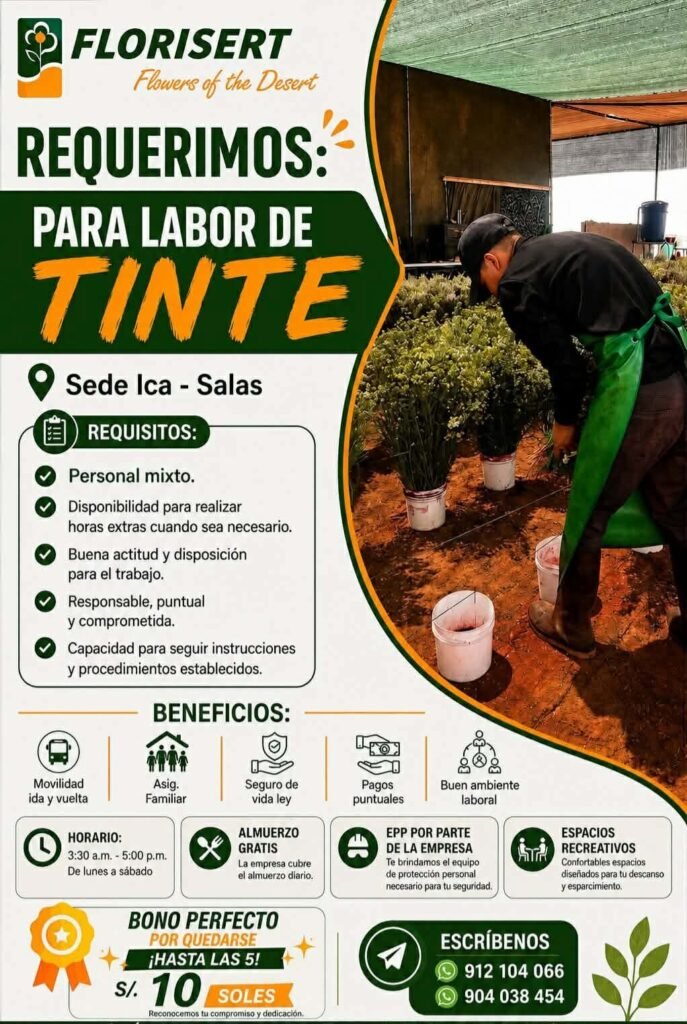Personal Mixto para Labor de Tinte en Ica