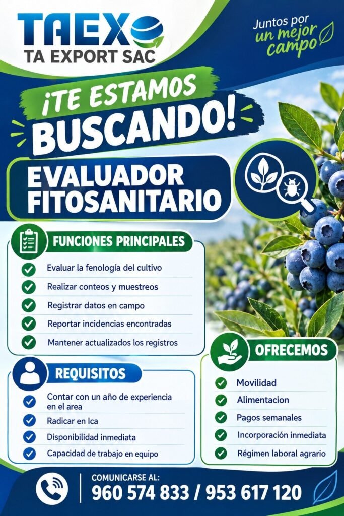 Trabajos en taexport - Imagen 2
