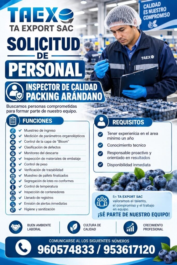 Nuevas oportunidades laborales en TA Export - Imagen 1
