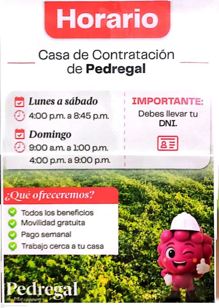 Personal para Casa de Contratación en Pedregal, Ica