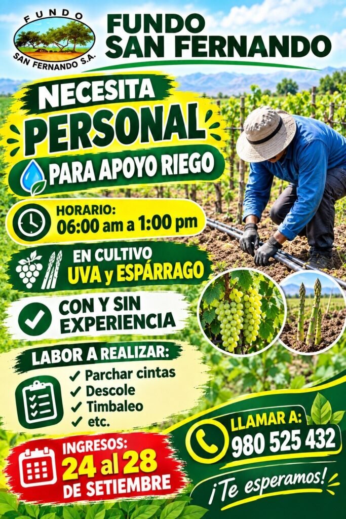 Personal bueno en Fundo san Fernando