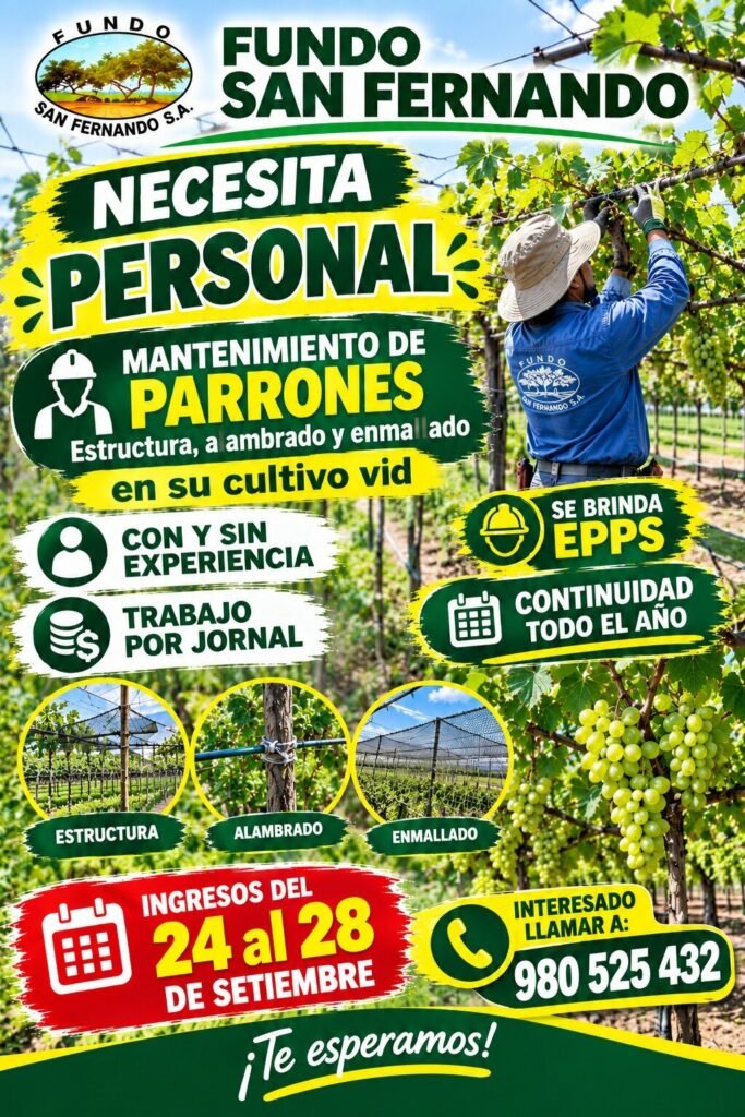 Personal bueno en Fundo san Fernando - Imagen 2