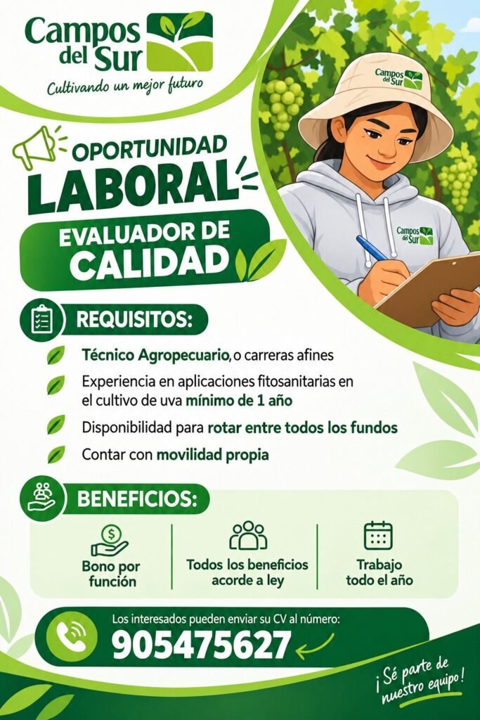 Evaluador de calidad - Imagen 1