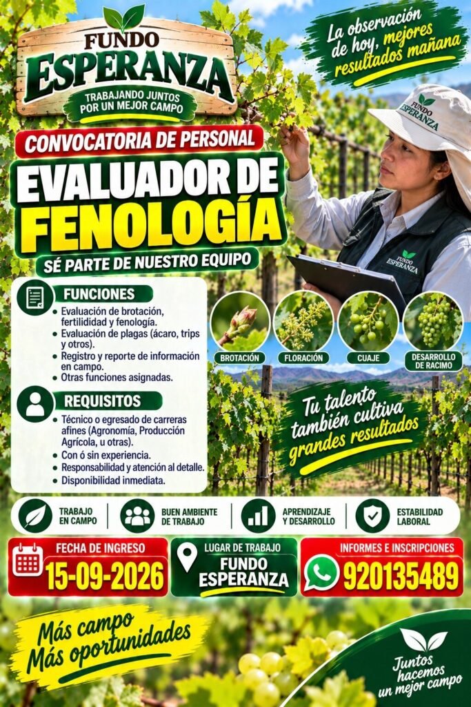 Trabajo en Fundo esperanza - Grupo Vanguard - Imagen 2