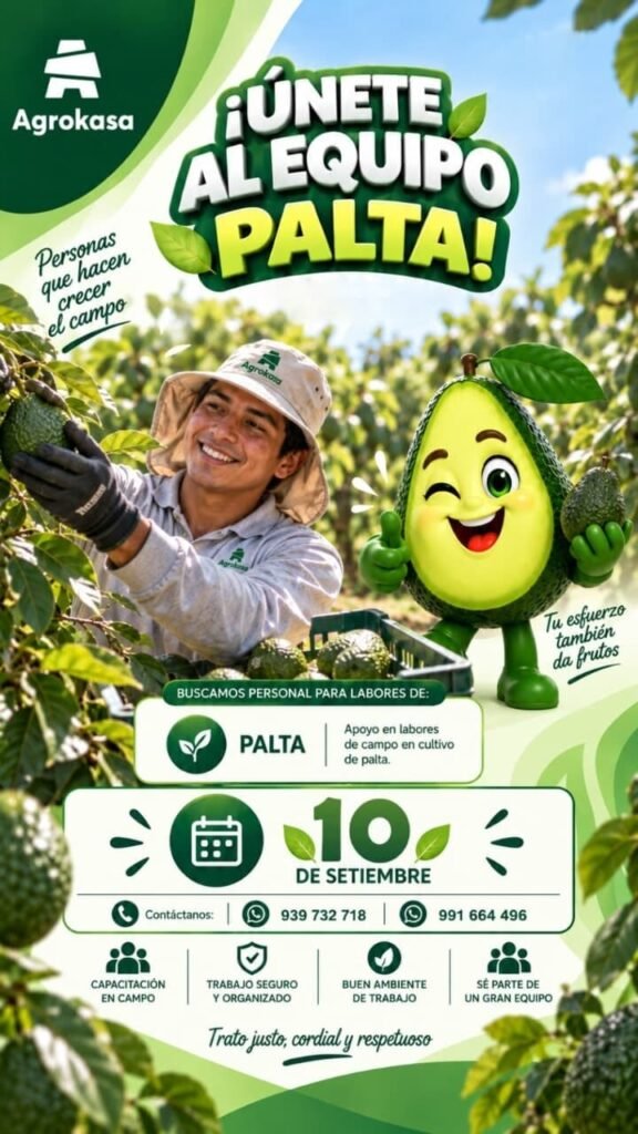 Personal varios — Fundo Agrokasa Pisco - Imagen 2