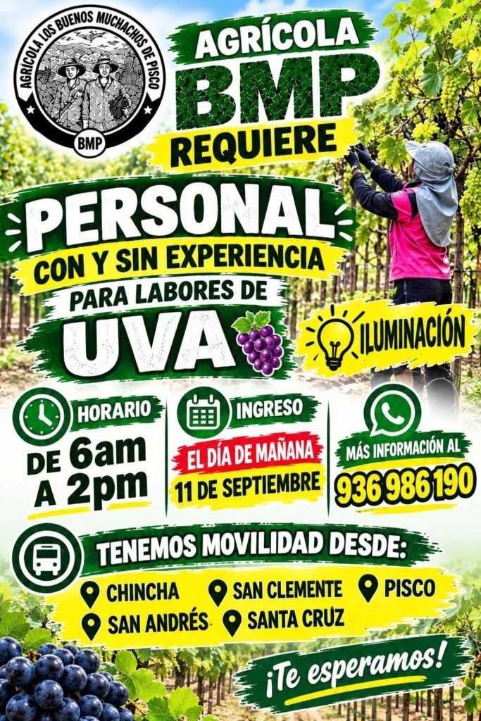 Personal para labores de uva