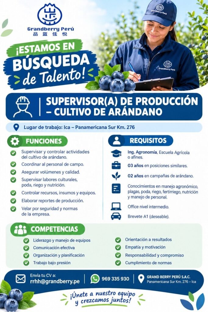 Supervisor de Producción para Cultivo de Arándano en Ica