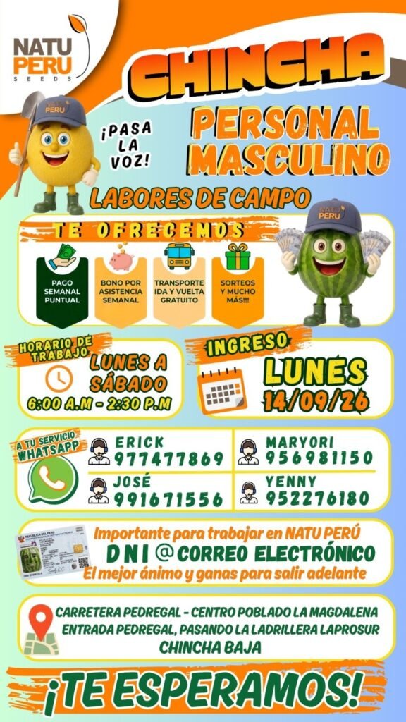 Trabajo en Chincha