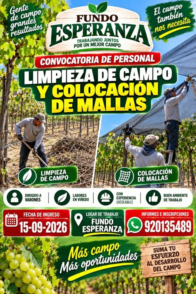 Trabajo en Fundo esperanza - Grupo Vanguard - Imagen 5