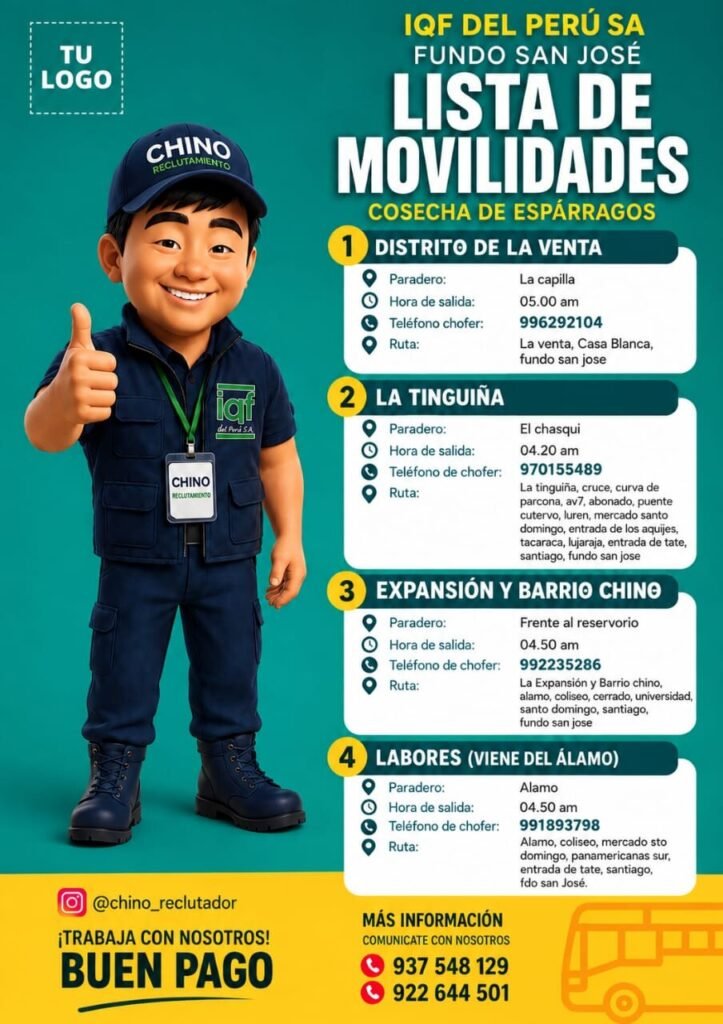 Personal para Desbrote de Uva en Fundo San José, Ica - Imagen 2