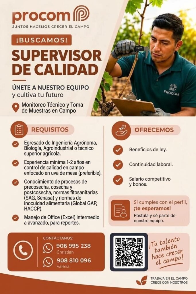 Se requieren personal para Cosecha de uva
