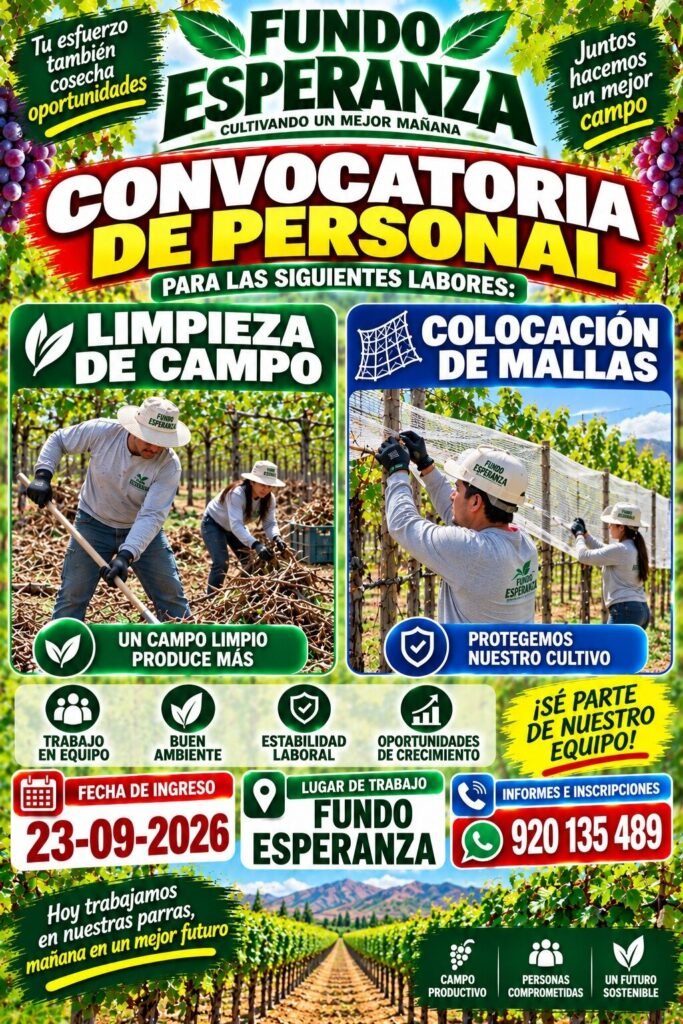 Personal para Fundo esperanza - Ica - Imagen 2