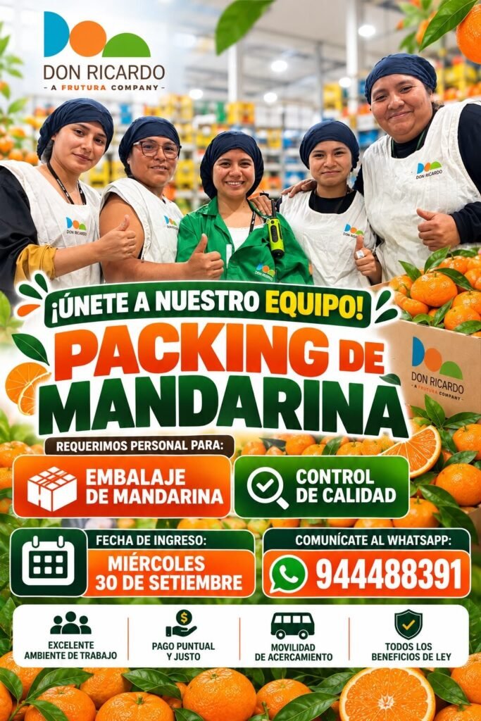 Personal para Embalaje de Mandarina