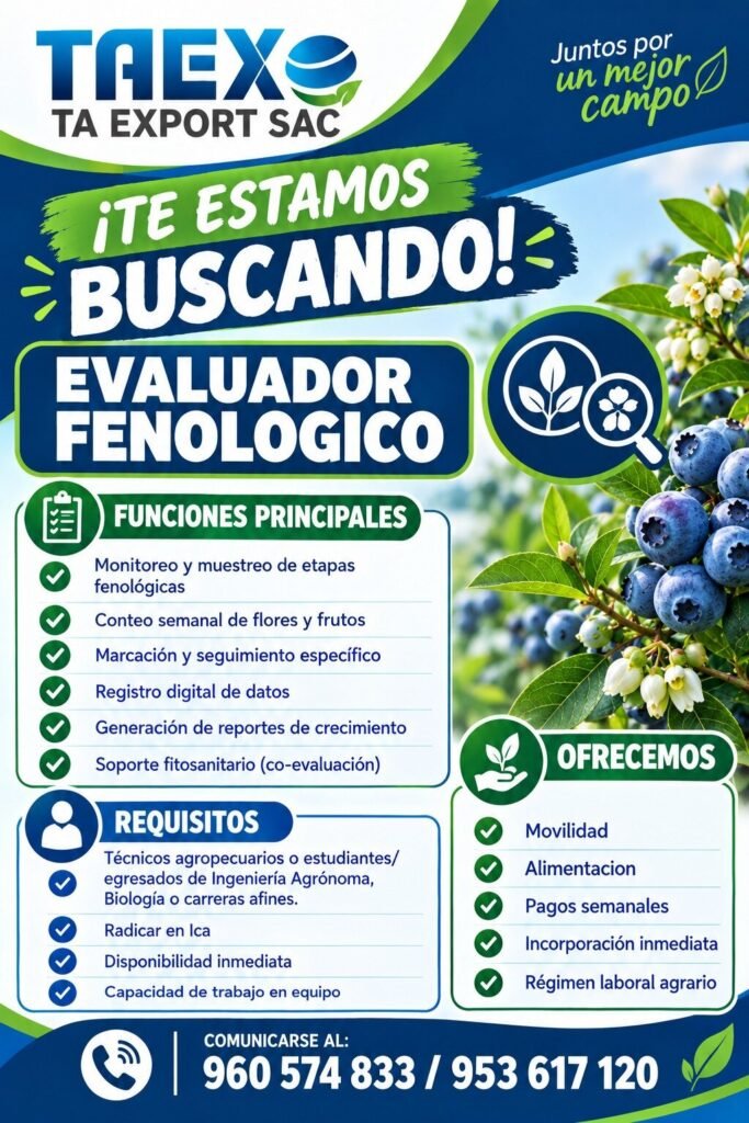 Trabajos en taexport