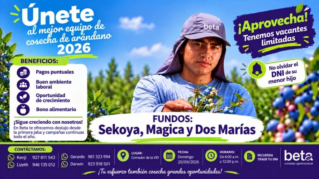 Cosechadores de Arándano en Comedor de la VID, Beta